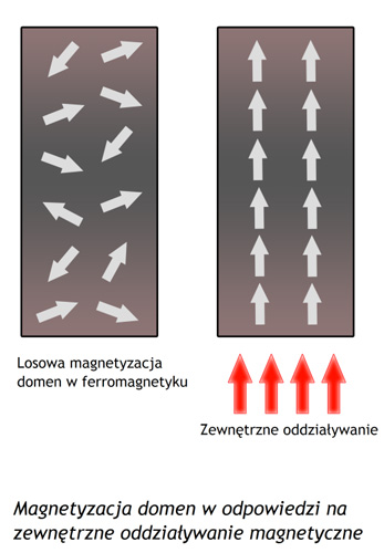 [img:7]