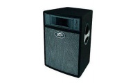 PEAVEY PRO-15