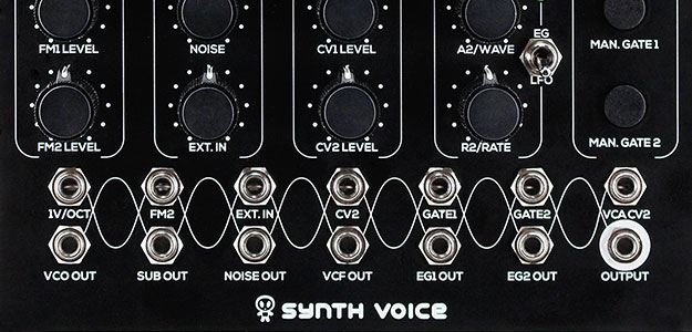 Erica Synths przedstawia DIY Synth Voice