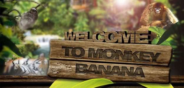 MESSE2014: Zapraszamy do dżungli - monitory studyjne Monkey Banana