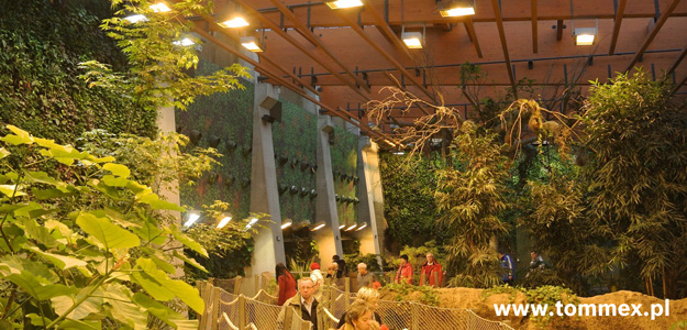 Tommex realizuje nagłośnienie Afrykarium we Wrocławiu