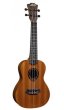 Lag TKU10C ukulele koncertowe z pokrowcem - zdjęcie 1