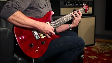 The PRS SE SVN | PRS Guitars