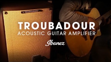 Ibanez T80II - Troubadour Acoustic Guitar Combo Amplifier with AE900NT