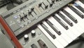 Behringer DeepMind 12 - zobacz dlaczego warto?