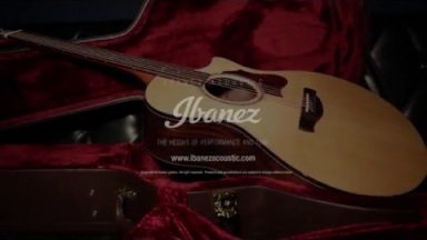 Ibanez AE series